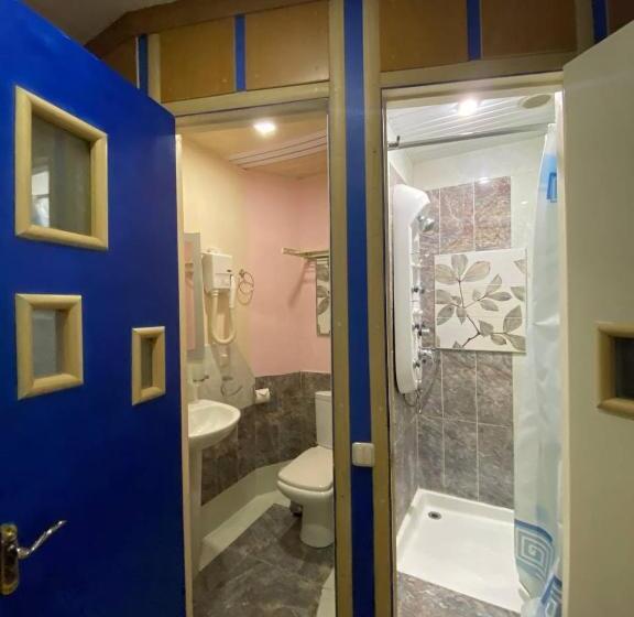 اتاق لوکس یک تخته, дом писателей цахкадзора