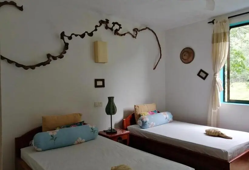 Economy Kamer, De La Plage