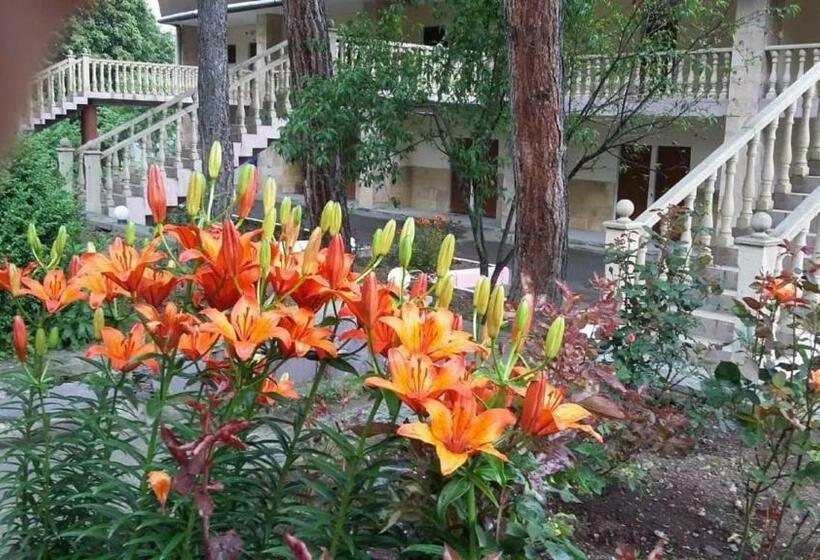 غرفة قياسية, Odzun