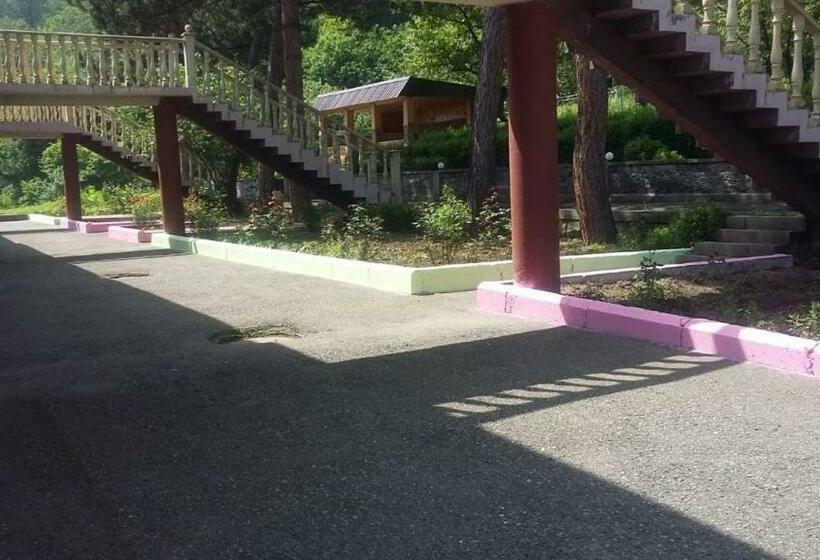 غرفة قياسية فردية, Odzun