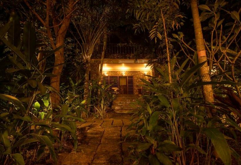 اتاق استاندارد, Tara Lodge Haven Of Peace