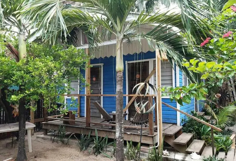 バス共有のスタンダードルーム, The Funky Dodo Backpackers Hostel