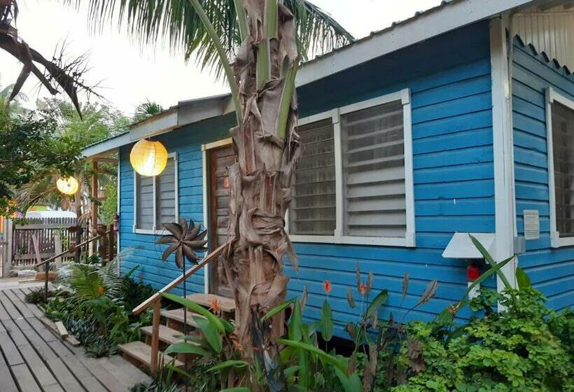 חדר סטנדרט חדר אמבטיה משותף, The Funky Dodo Backpackers Hostel