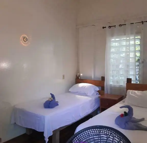 バス共有のスタンダードルーム, The Funky Dodo Backpackers Hostel