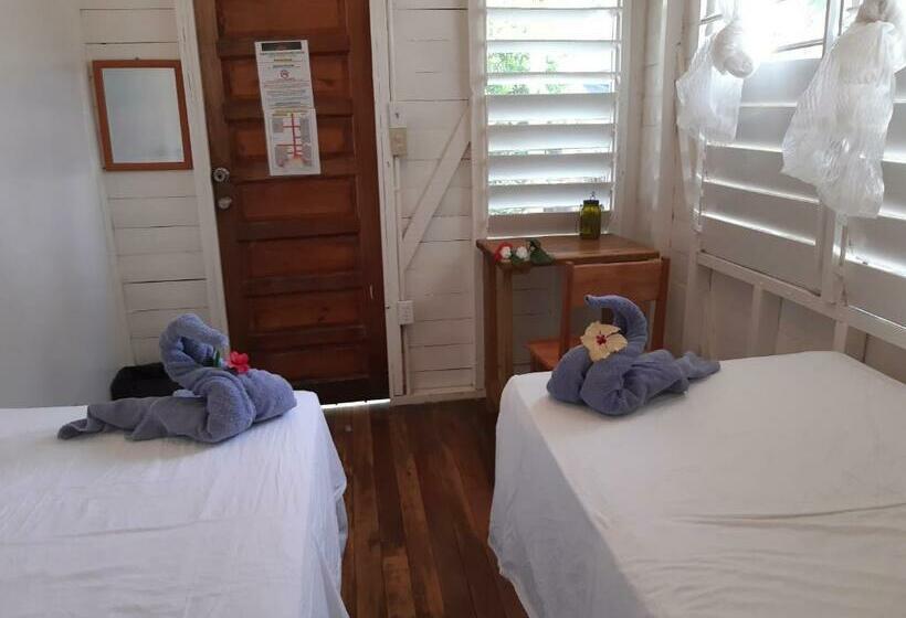 חדר סטנדרט חדר אמבטיה משותף, The Funky Dodo Backpackers Hostel