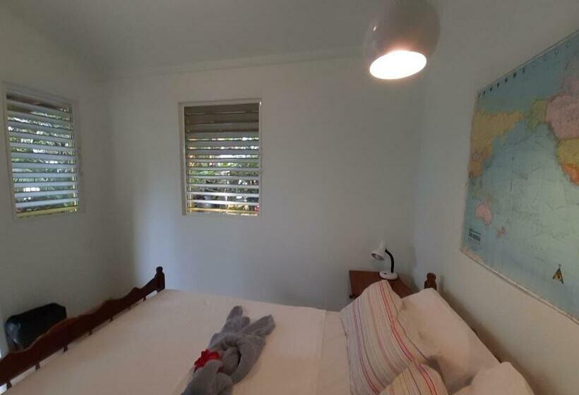 חדר סטנדרט חדר אמבטיה משותף, The Funky Dodo Backpackers Hostel