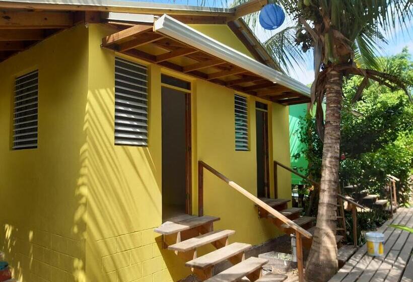 חדר סטנדרט חדר אמבטיה משותף, The Funky Dodo Backpackers Hostel