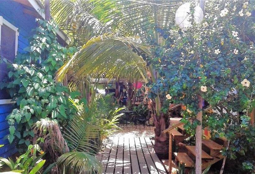 غرفة قياسية رباعية, The Funky Dodo Backpackers Hostel