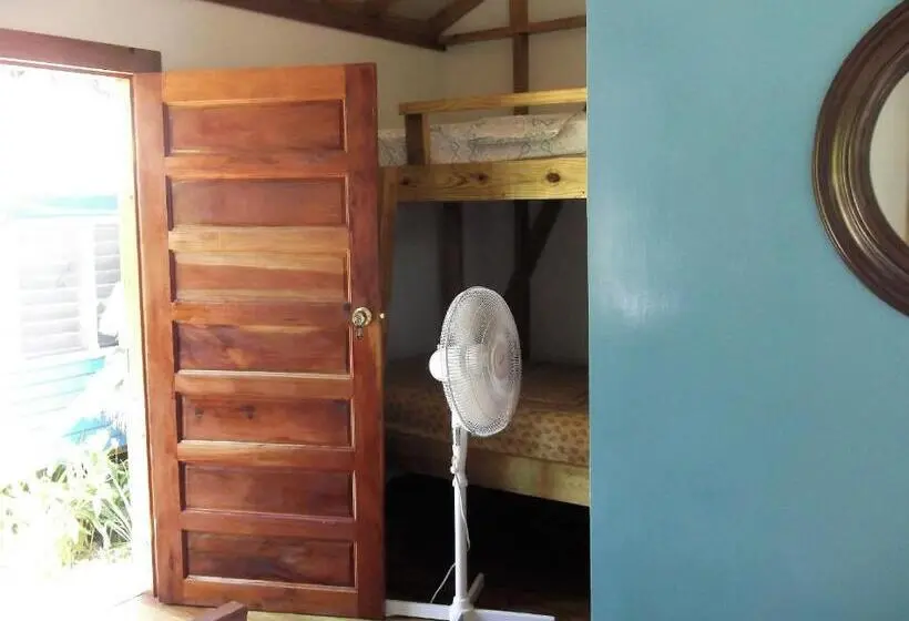 スタンダード４人部屋, The Funky Dodo Backpackers Hostel