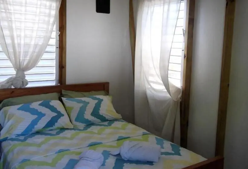 スタンダード４人部屋, The Funky Dodo Backpackers Hostel