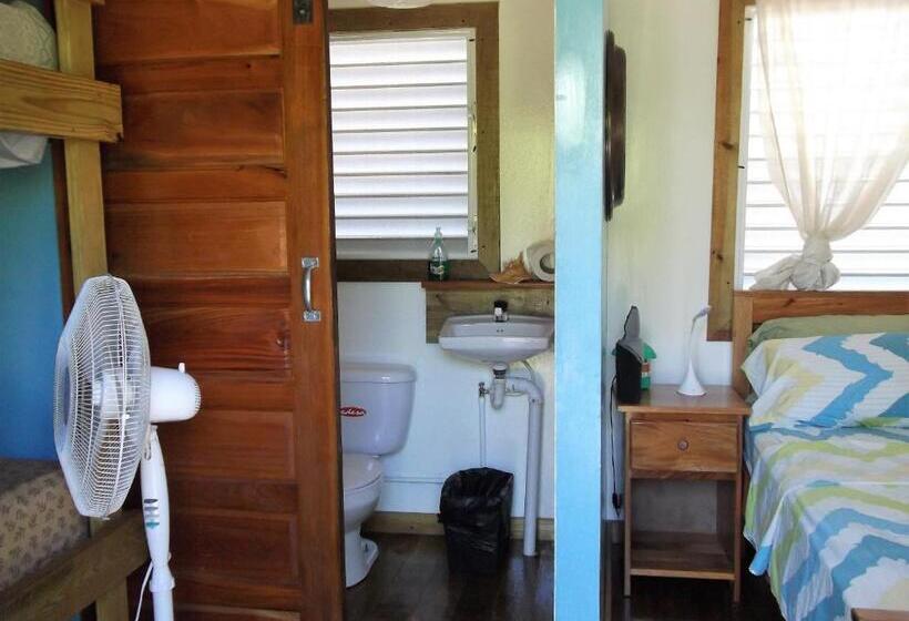 חדר סטנדרט לארבעה, The Funky Dodo Backpackers Hostel