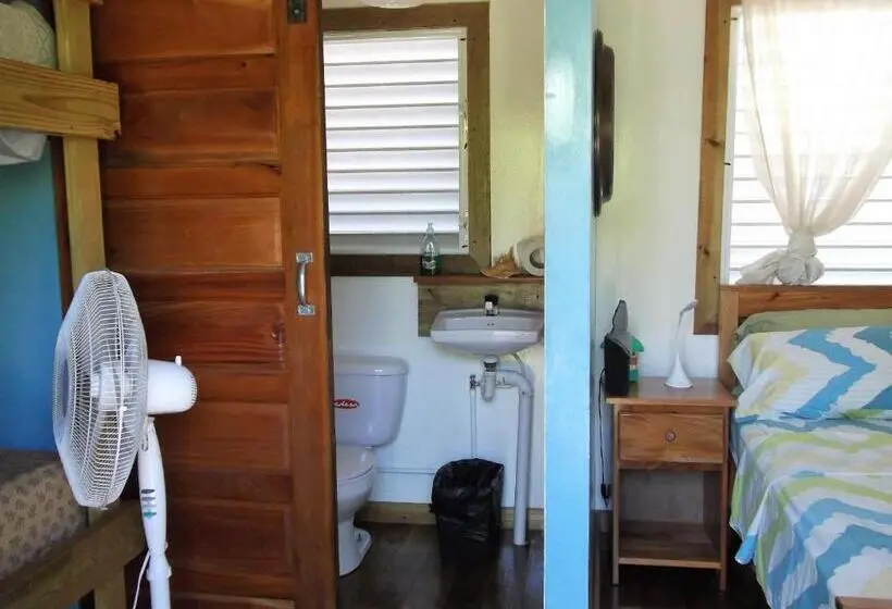 スタンダード４人部屋, The Funky Dodo Backpackers Hostel