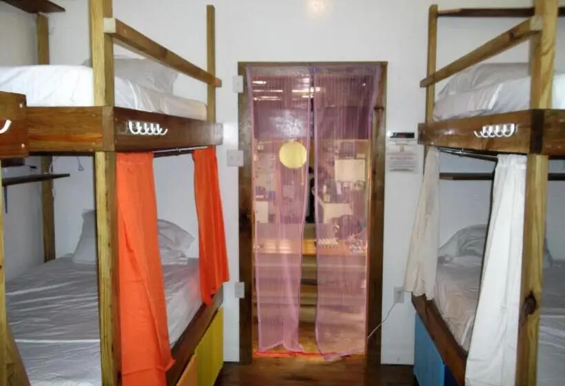 ルームシェアのワンベッド, The Funky Dodo Backpackers Hostel