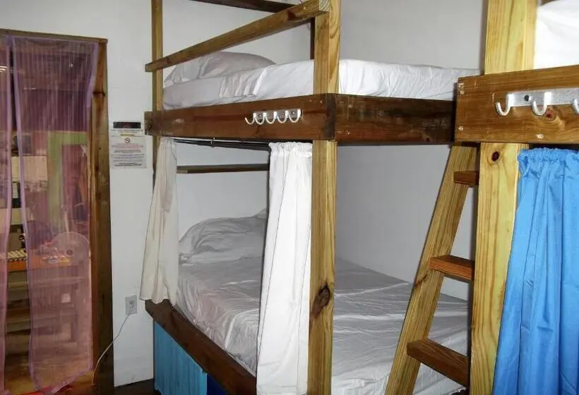ルームシェアのワンベッド, The Funky Dodo Backpackers Hostel