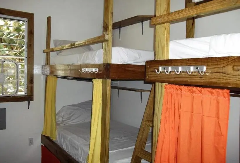 ルームシェアのワンベッド, The Funky Dodo Backpackers Hostel