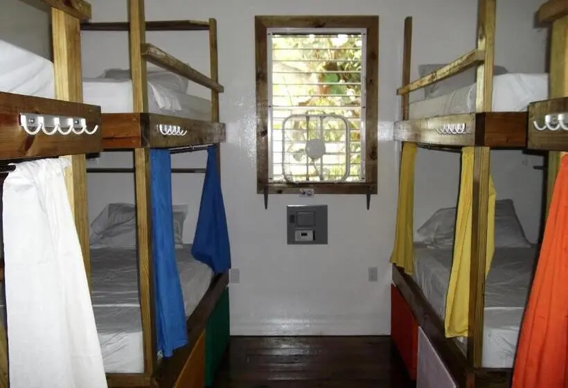 ルームシェアのワンベッド, The Funky Dodo Backpackers Hostel