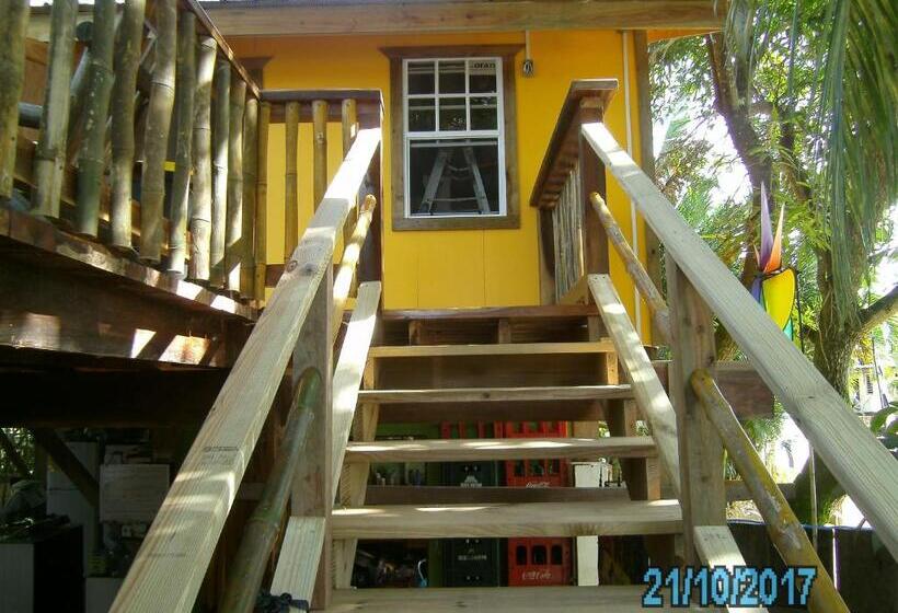 חדר סטנדרט, The Funky Dodo Backpackers Hostel