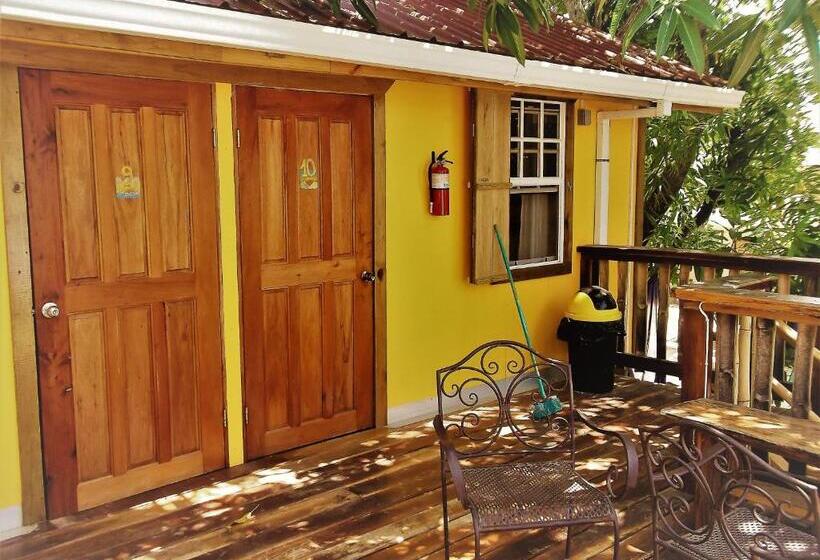 חדר סטנדרט, The Funky Dodo Backpackers Hostel