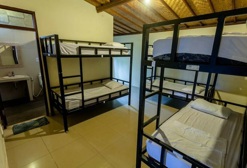 سرير فى غرفة مشتركه, In Da Lodge