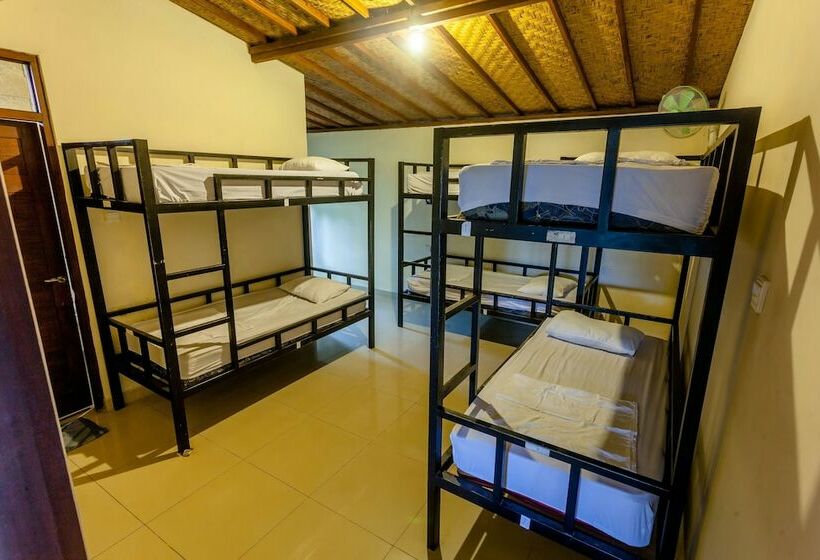 Кровать в Общей Комнате, In Da Lodge
