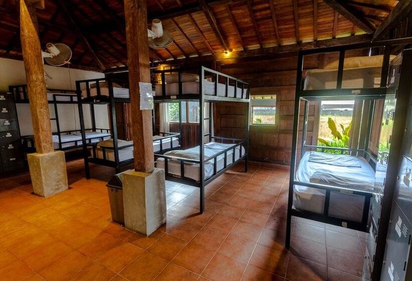 سرير فى غرفة مشتركه, In Da Lodge