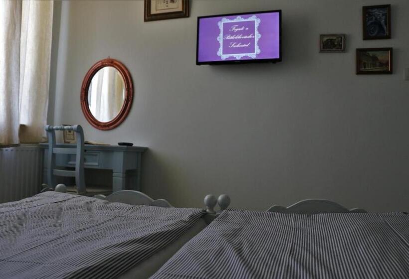 Номер Стандарт Вид на Город, Fogadó A Patkolókovácshoz Vendégház Szekszárd