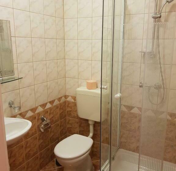 Номер Стандарт, Fortuna Panzio