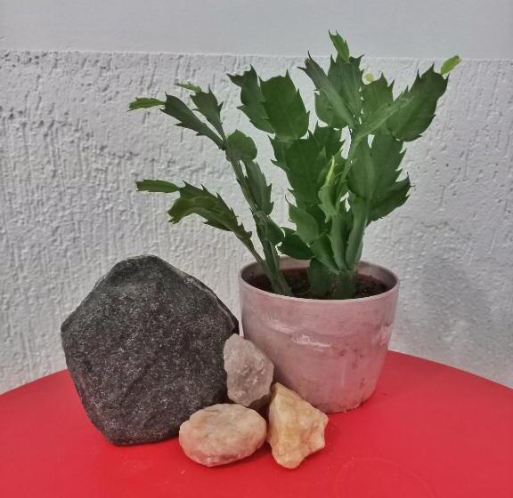 اتاق استاندارد, Aquiri Hostel