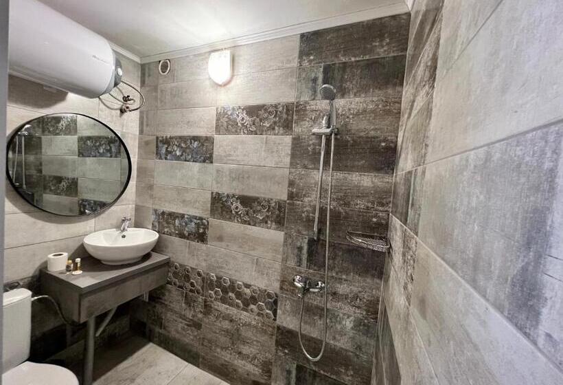 חדר סטנדרט יחיד, Family Hotel Central