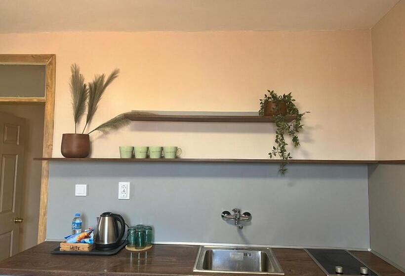 דירת שני חדרים, Family Hotel Central