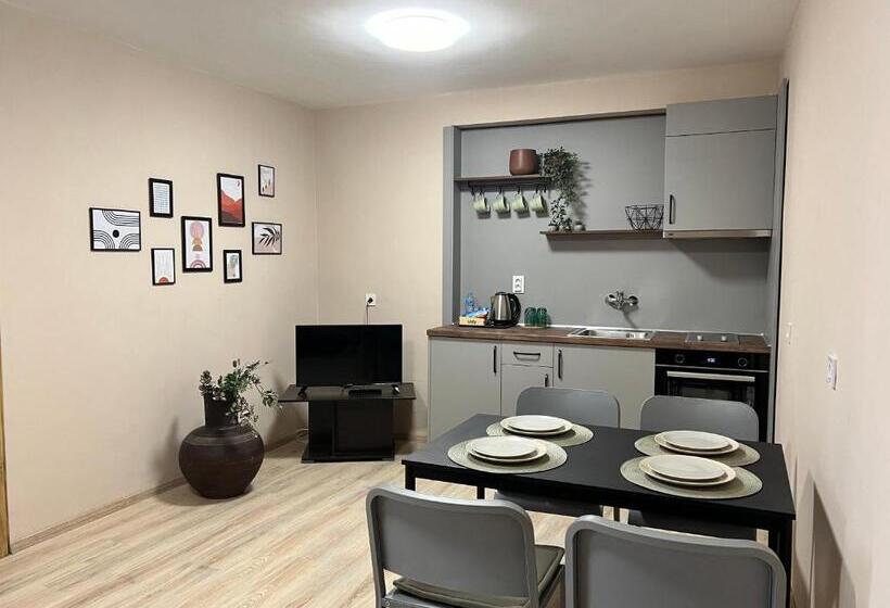 침실 2개 아파트, Family Hotel Central