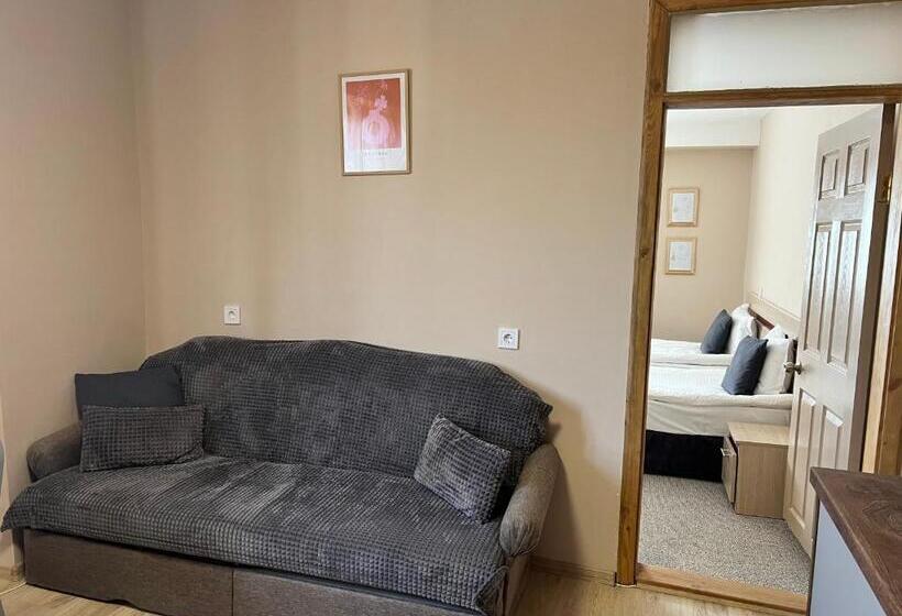 דירת שני חדרים, Family Hotel Central