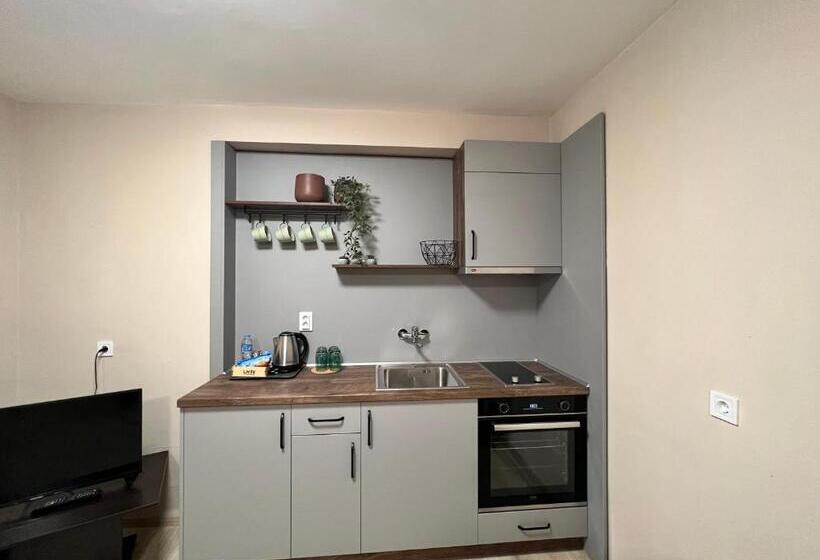 דירת שני חדרים, Family Hotel Central