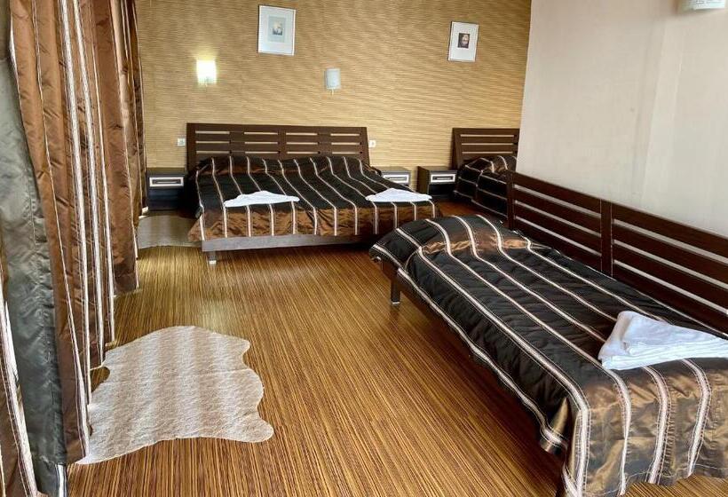 스탠다드 스튜디오 바다 전망, At The American S