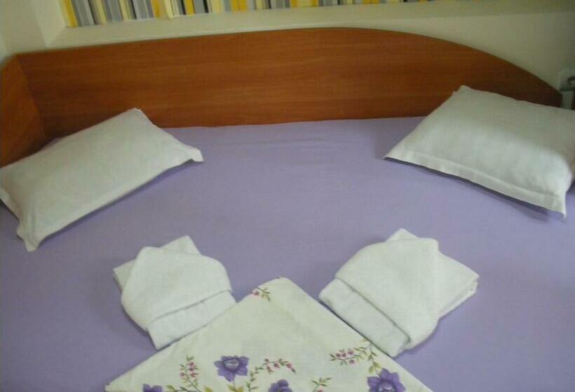 스탠다드 싱글 룸, Brani Family