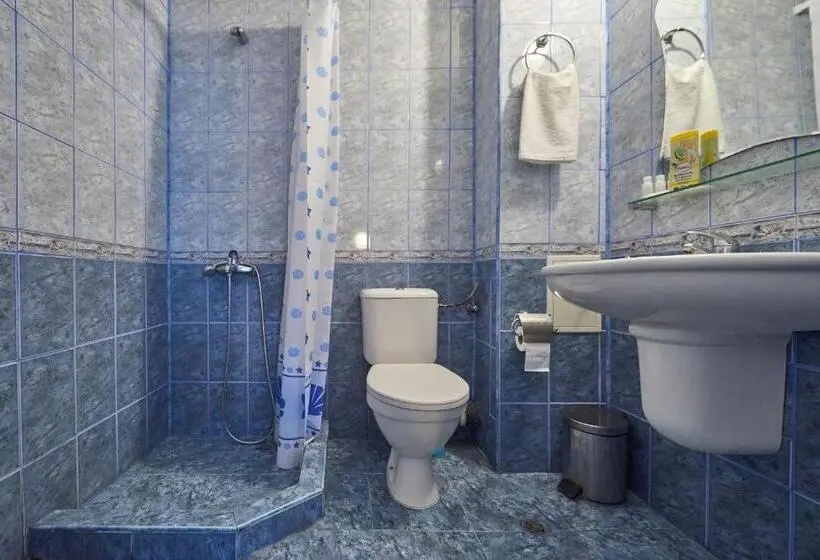 Comfort Kolmen Hengen Huone, Family Hotel Electra