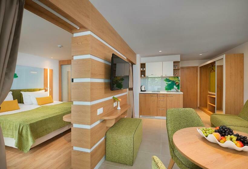 标准工作室带阳台, Forest Beach