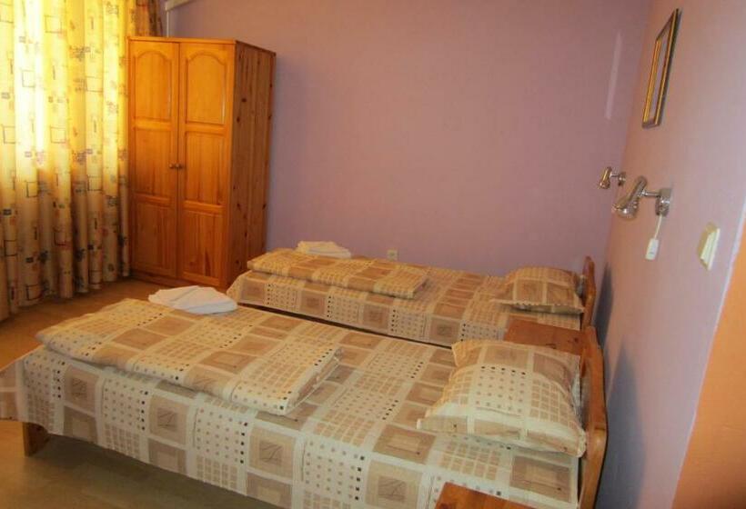 Номер Стандарт, Gerdjika