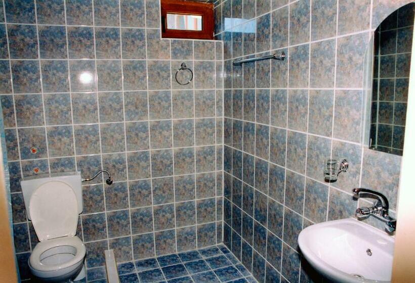 Номер Стандарт, Gerdjika