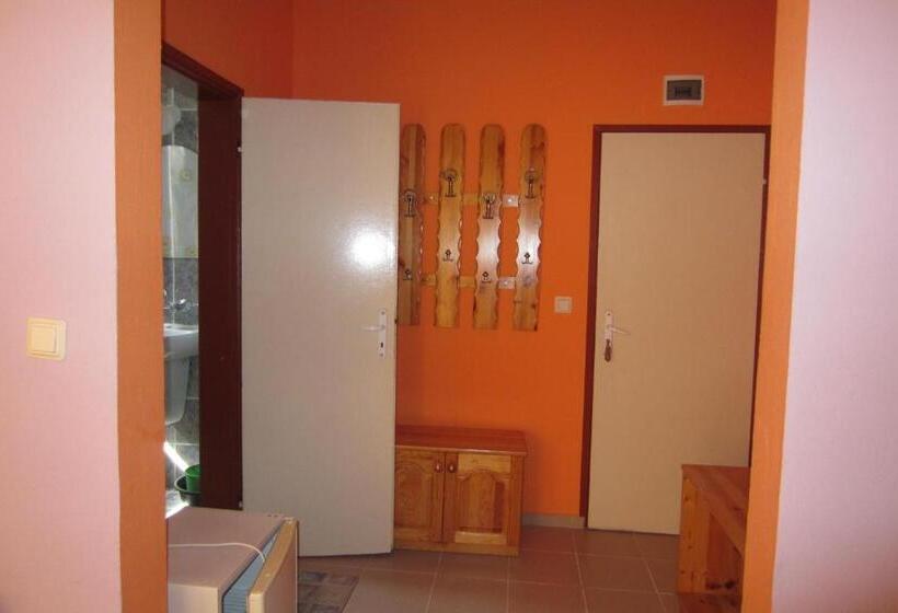 Номер Стандарт, Gerdjika