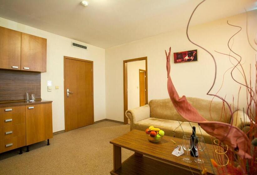 주니어 스위트, Intelcoop