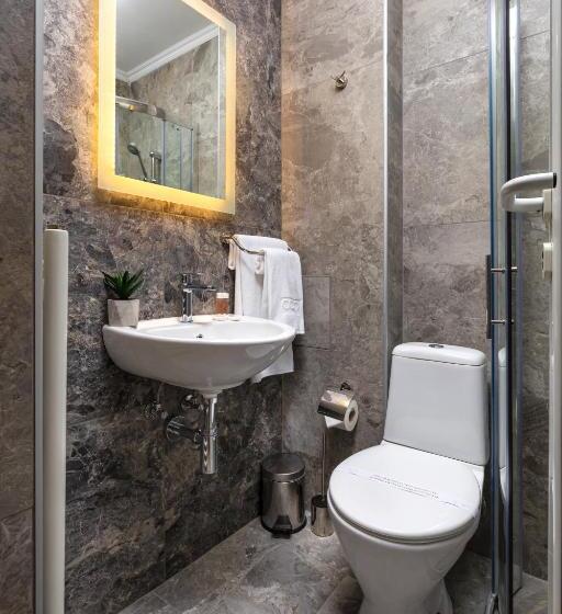 싱글 디럭스 룸, Intelcoop