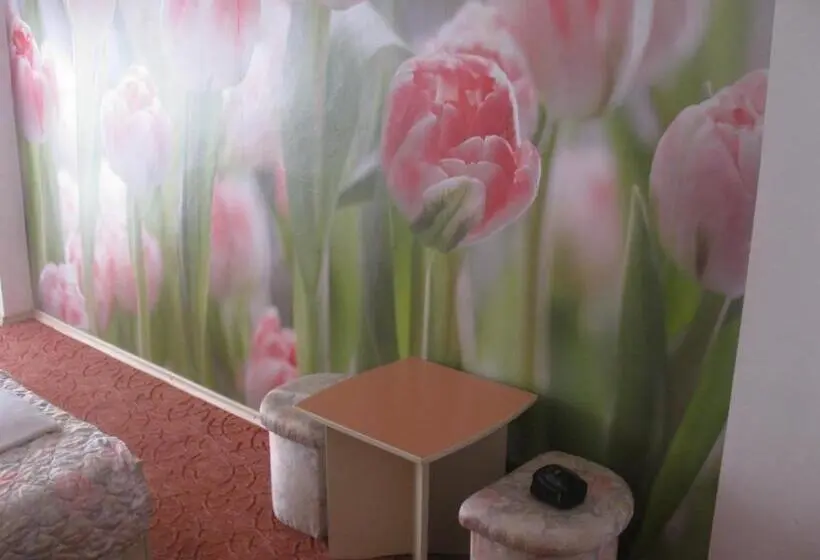Quarto Estandar Individual, Peter