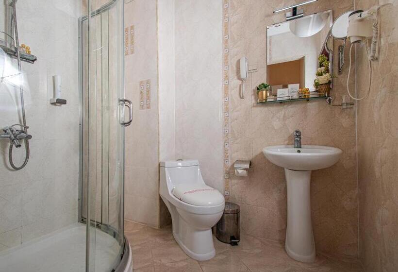 غرفة كلاسيكية فردية, Princess Residence