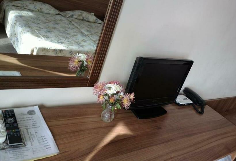 Номер Стандарт с Балконом, Selena