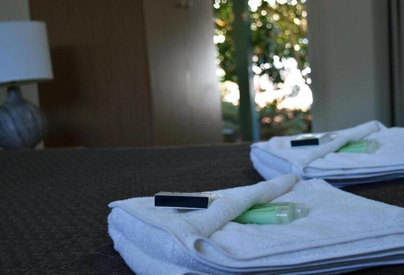 豪华房间, Ten Dollar Town Motel