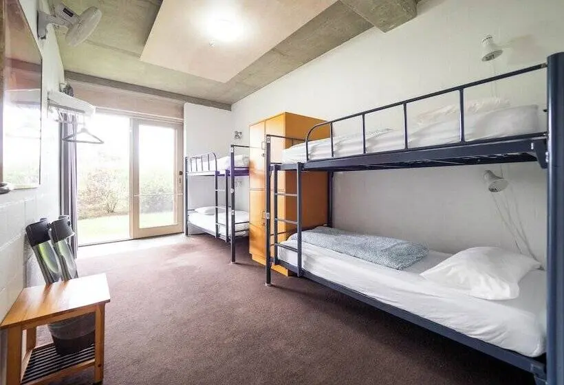 Bed in Shared Room with Shared Bathroom, Yha Apollo Bay Eco