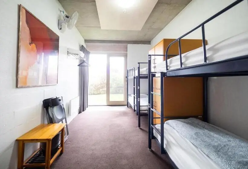 Bed in Shared Room with Shared Bathroom, Yha Apollo Bay Eco