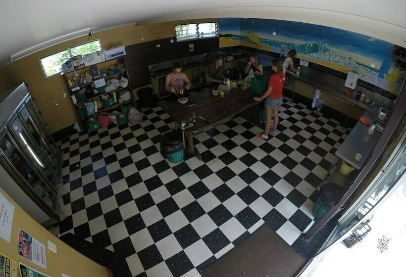 공동 객실, Cool Bananas Backpackers