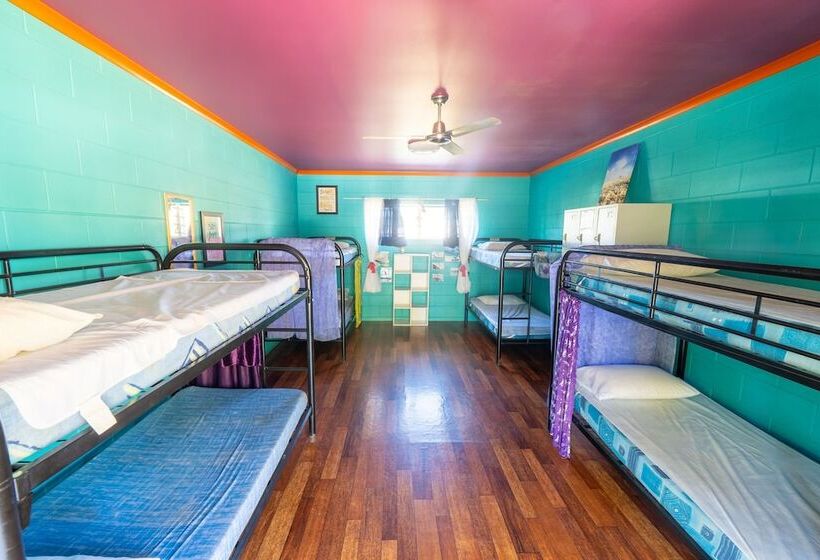 공동 객실, Cool Bananas Backpackers